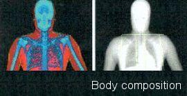 Body composition Body composition